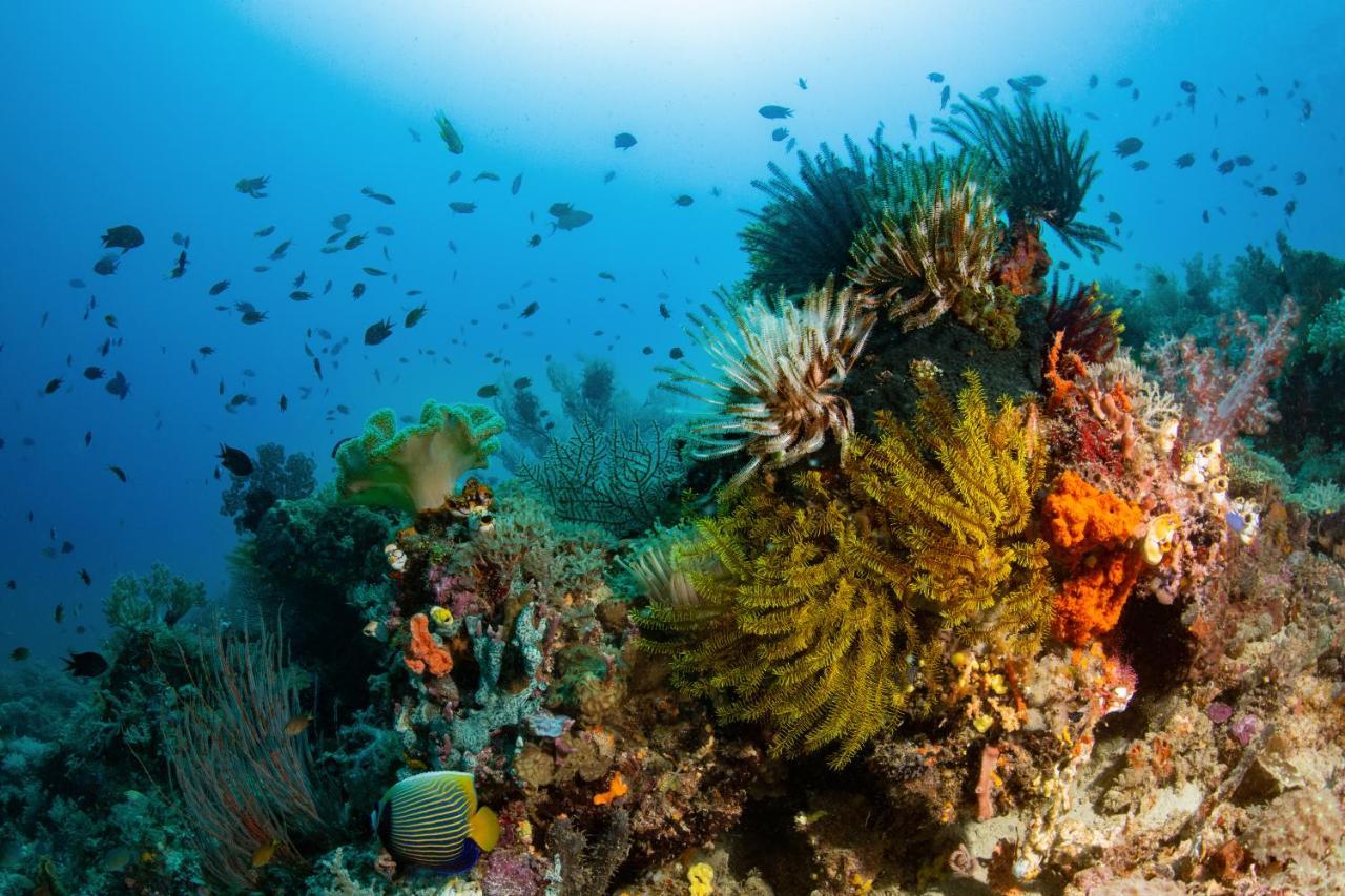 Metita Beach & Dive Resort Daruba Eksteriør bilde