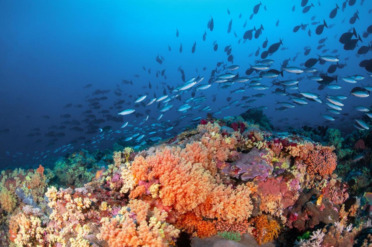 Metita Beach & Dive Resort Daruba Eksteriør bilde
