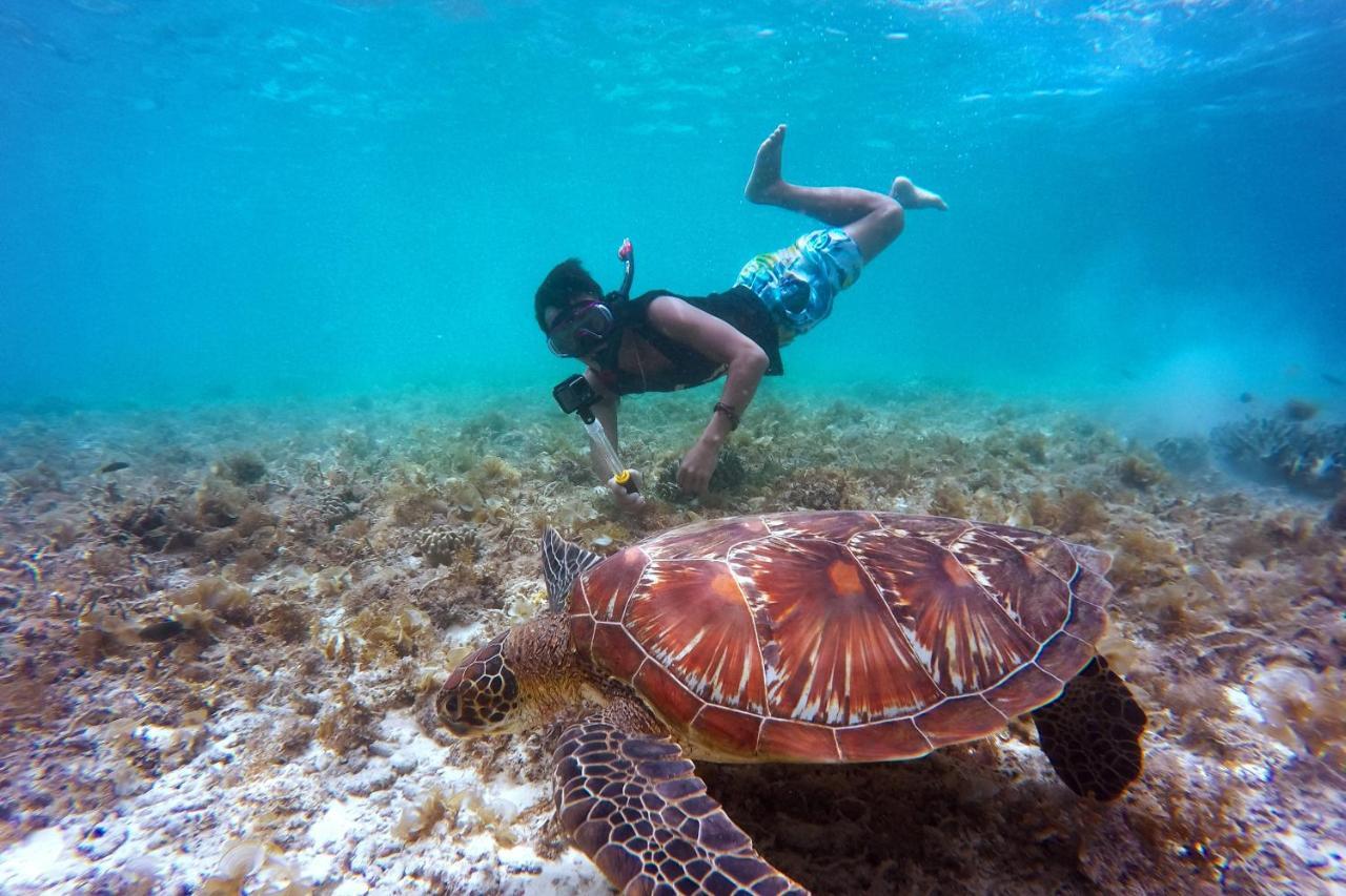 Metita Beach & Dive Resort Daruba Eksteriør bilde